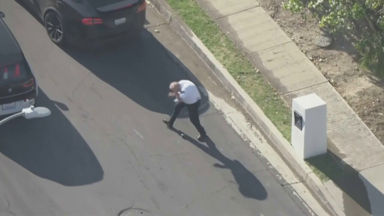 Bees swarm Los Angeles police volunteer who collapses to ground on video