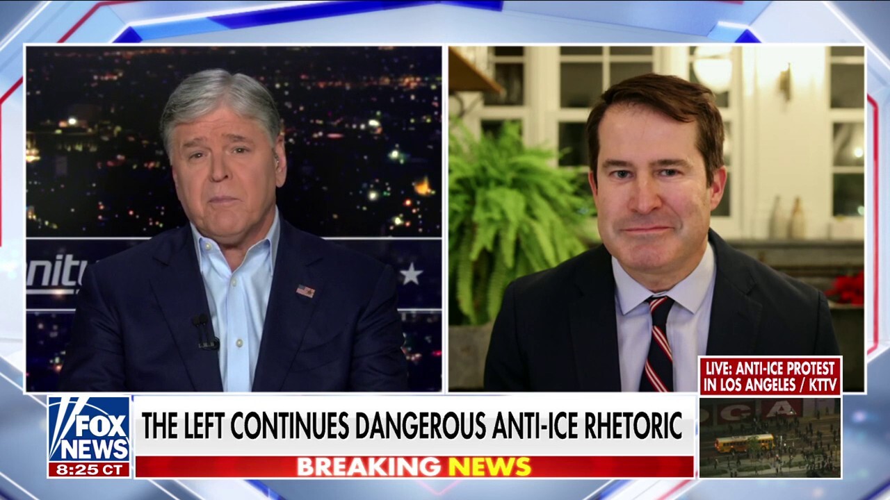 Democratic rep says ICE officers in masks are ‘cowards’ who think they’re above the law