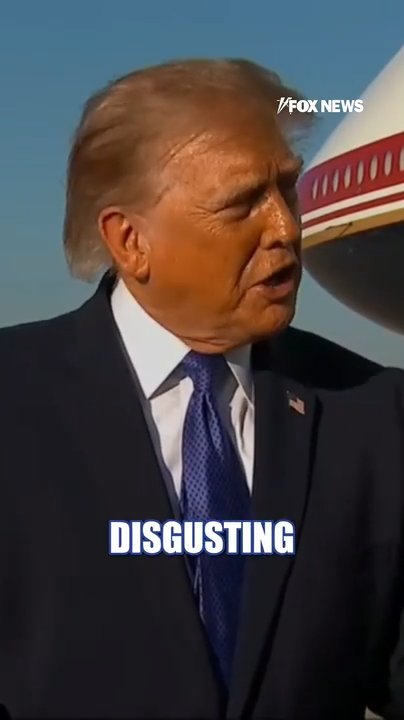 Trump lashes out at 'disgusting' reporter