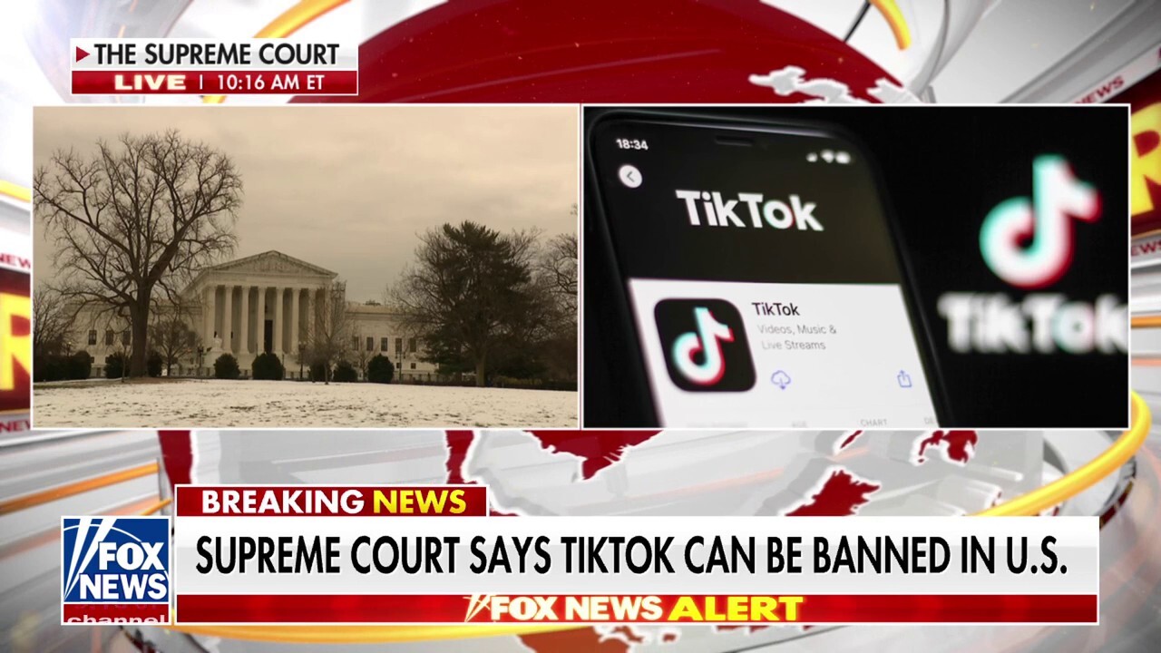 O'Leary Ventures chairman Kevin O'Leary joins ‘America’s Newsroom’ to discuss his efforts to buy TikTok after the Supreme Court upheld the upcoming sell-or-ban law.