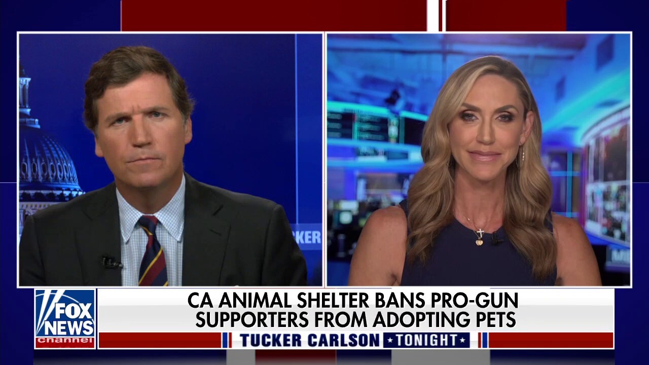 Calif. shelter trying to ban gun owners from adopting dogs?
