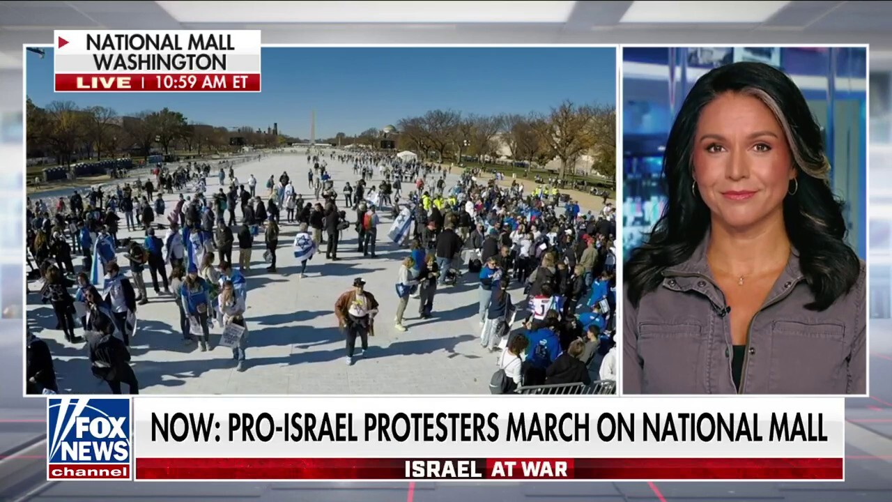 There is a ‘loud absence’ at Washington, DC Israel rally: Tulsi Gabbard