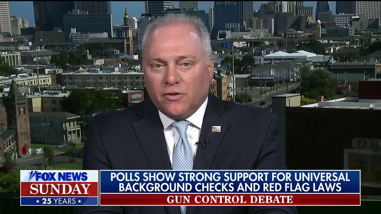 Rep. Scalise: 'We need to be focused more on stopping things before they happen'