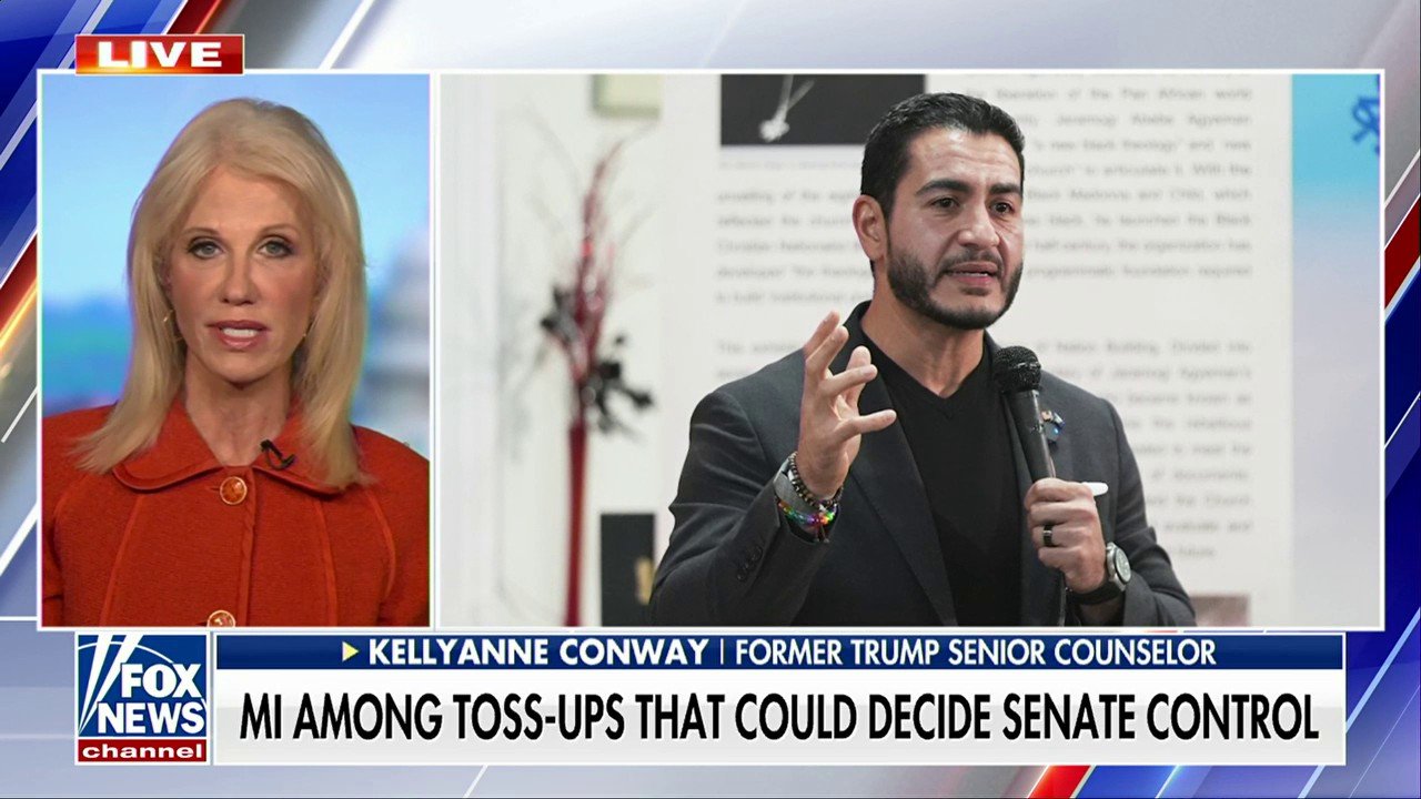 Kellyanne Conway declares Michigan Senate race the 'hottest' in the country