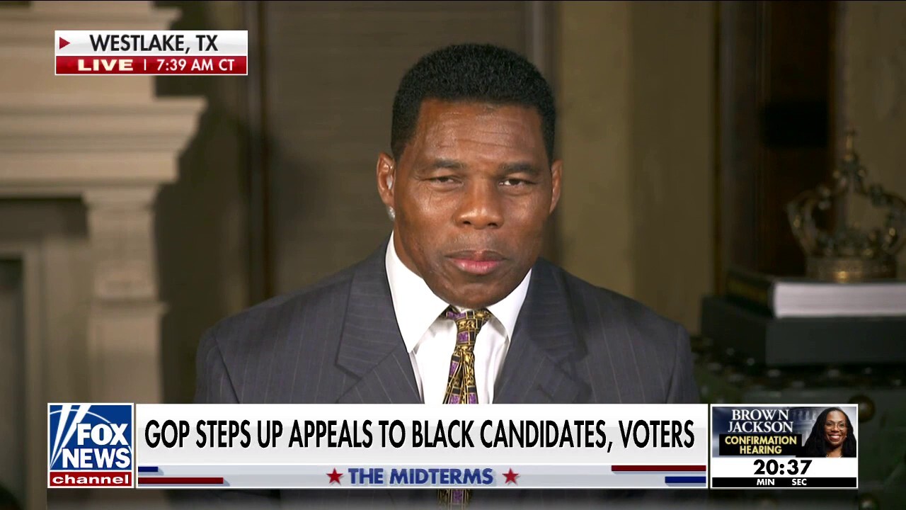 Georgia Senate hopeful Herschel Walker on mission to have all voters' voices head