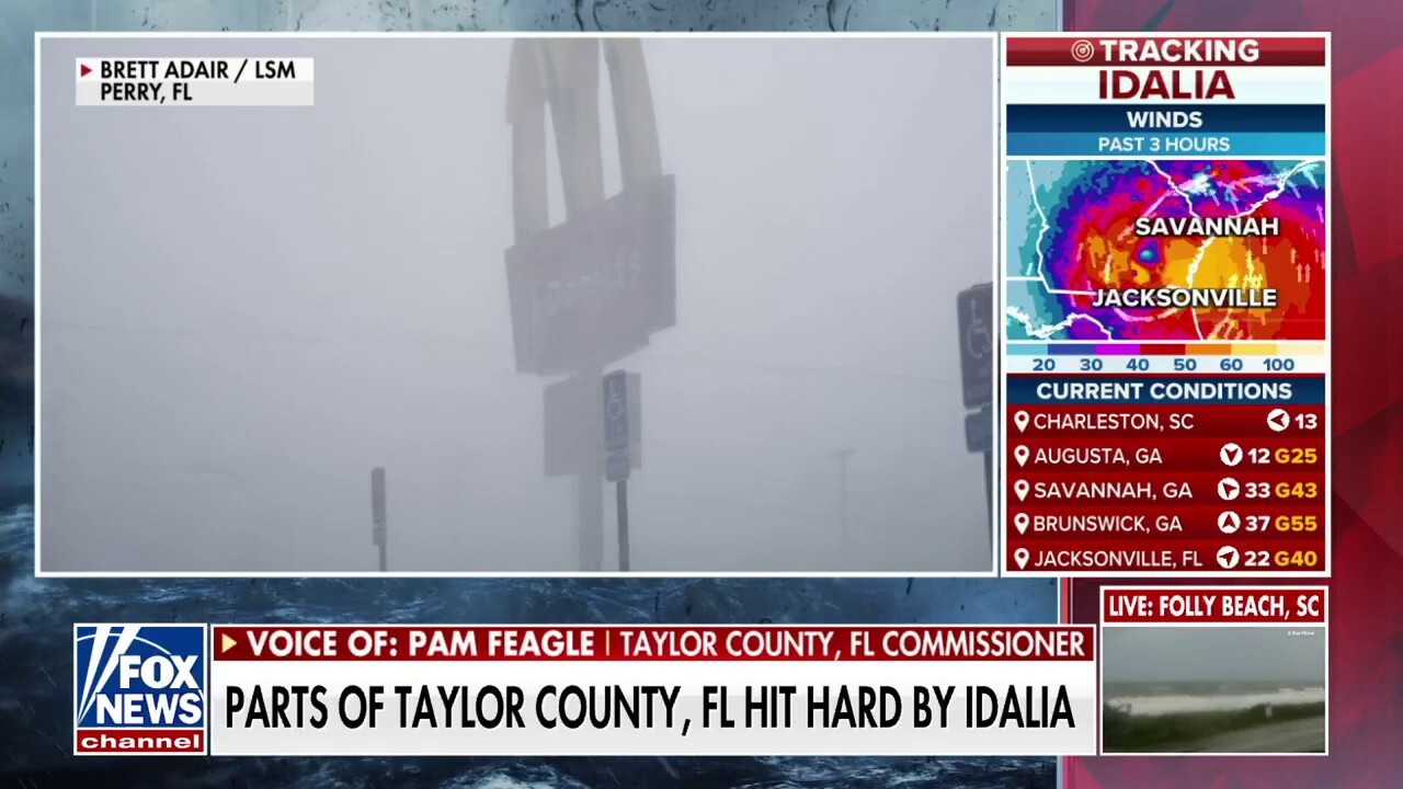 Florida county commissioner on Idalia damage: 'It's like a war zone'