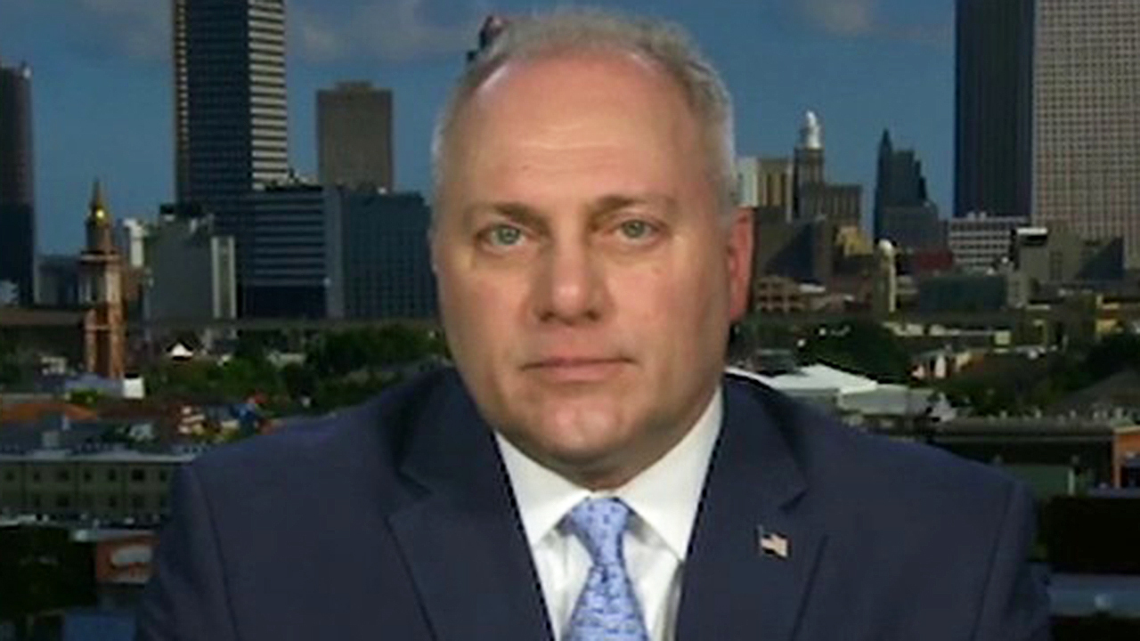 Scalise on 'Bernie Bros' looking for a fight if Sanders doesn't win nomination