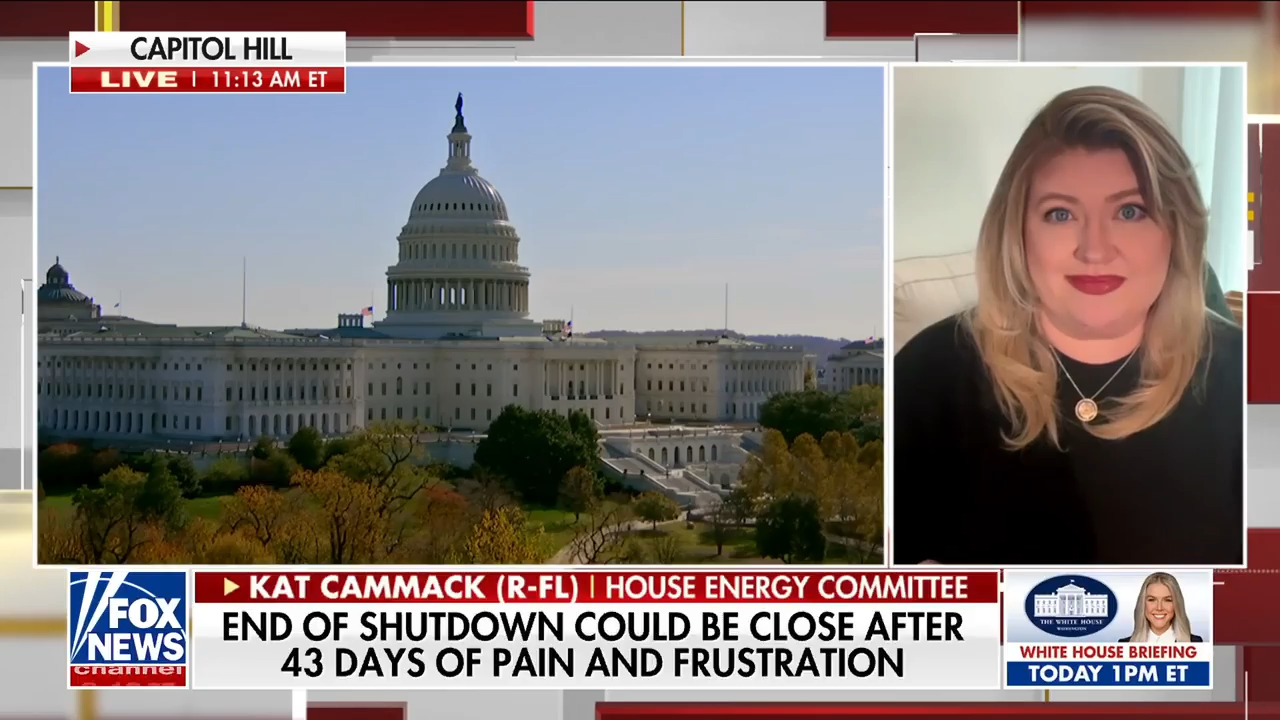 GOP lawmaker says some air traffic controllers are driving Ubers to make ends meet