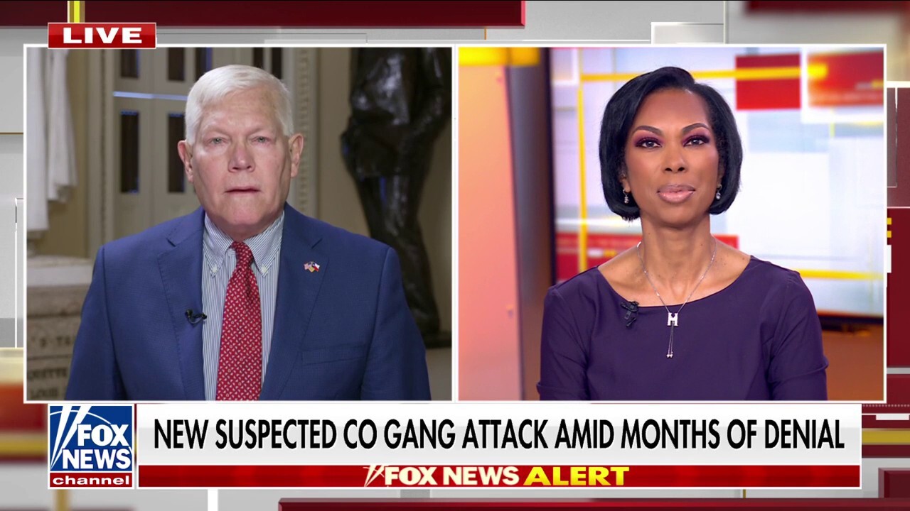 Migrant crime problem ‘courtesy’ of Biden administration, Democratic party: Rep. Pete Sessions