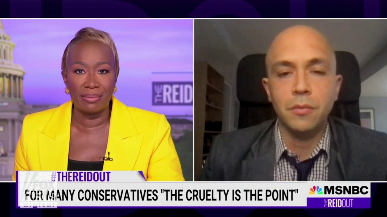 MSNBC's Joy Reid compares DeSantis to 'whipping up' 1960s lynch mobs