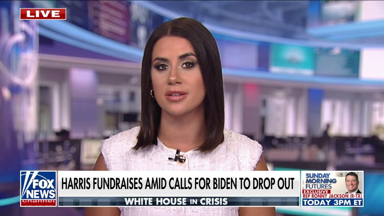 Fox News correspondent Madison Scarpino reports on Vice President Kamala Harris fundraising as calls for President Biden to drop mount on 'Fox News Live.'