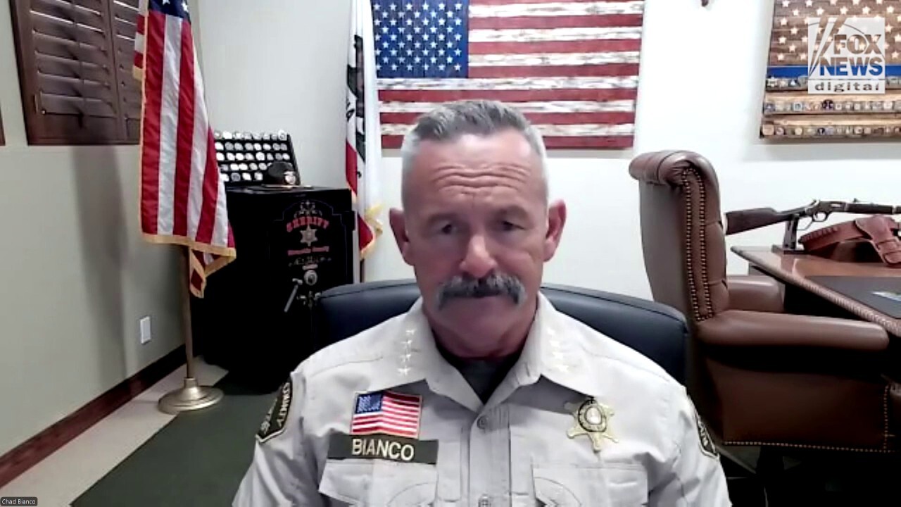 CA sheriff slams 'meritless' UCLA student lawsuit against police who dismantled anti-Israel encampment