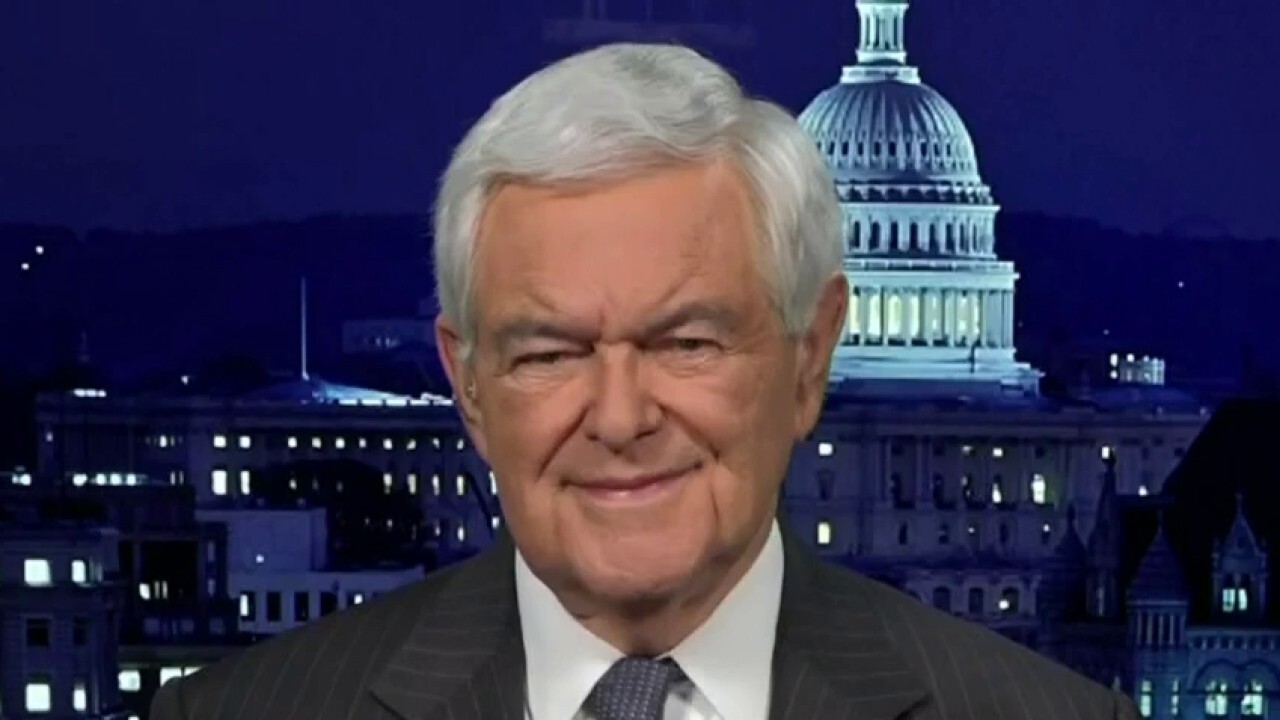 Republicans will be in charge of the House: Newt Gingrich