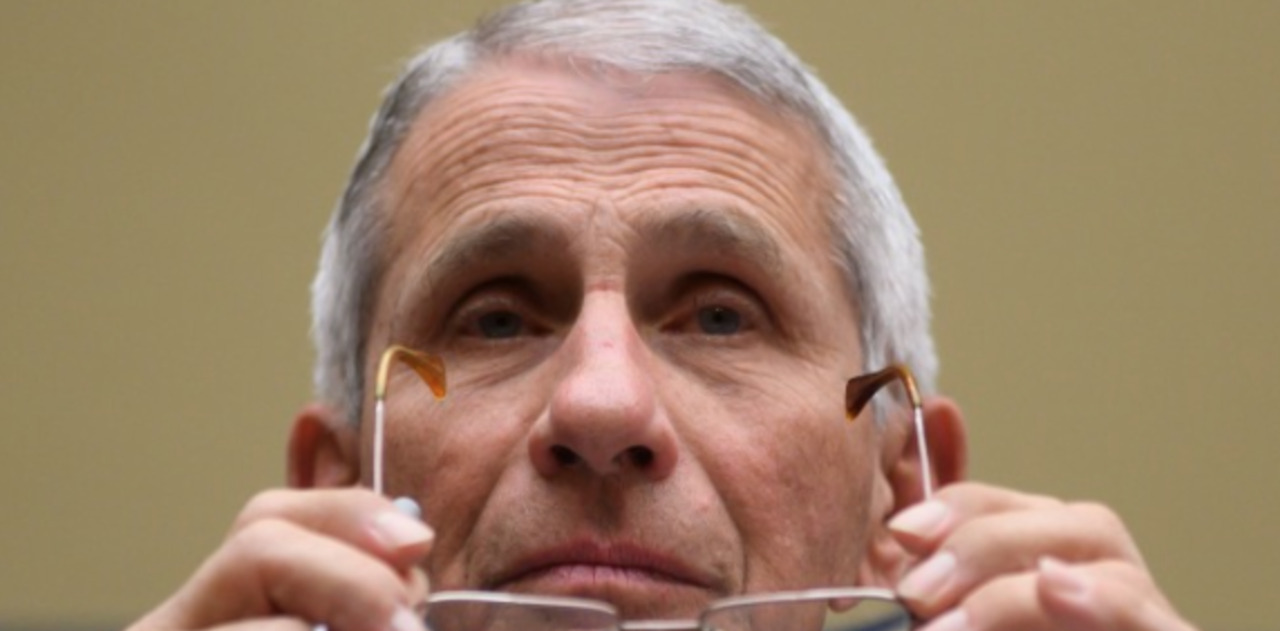 Who is Dr. Anthony Fauci, National Institute of Allergy and Infectious Diseases head?
