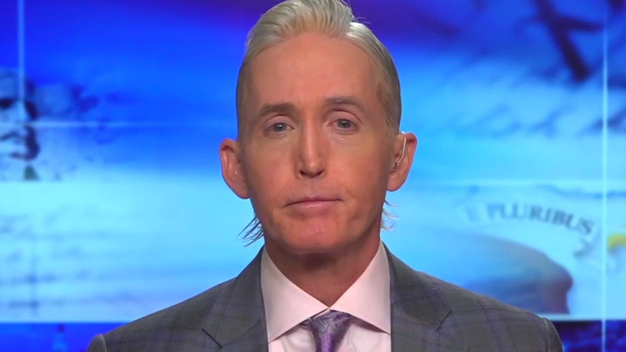 Gowdy: Democrats 'will never apologize' for defunding police, rise in crime