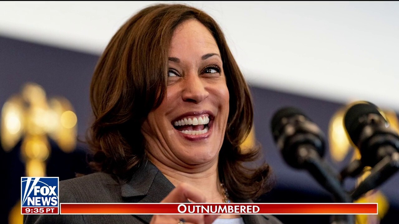 Kamala is trying to ‘script’ her way to the presidency: Kayleigh McEnany