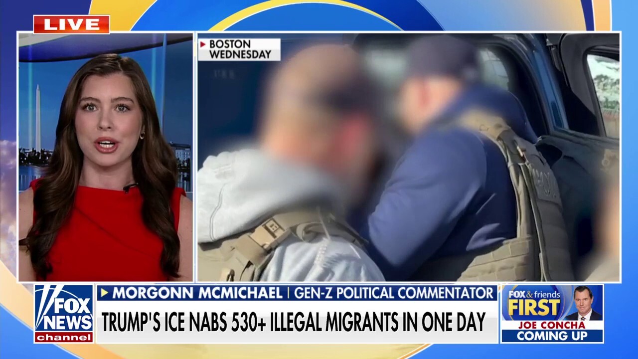 ICE arrests more than 530 migrants in one day amid Trump's crackdown