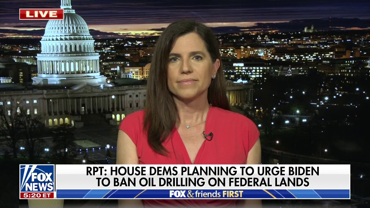 Nancy Mace On The Importance Of Russian Economic Sanctions And Ukrainian Humanitarian Aid Fox