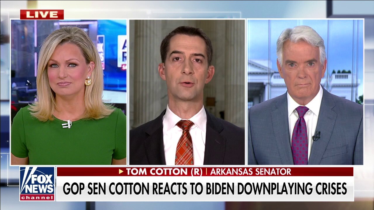 Sen. Tom Cotton on President Biden downplaying crisis: He is still in 'denial'