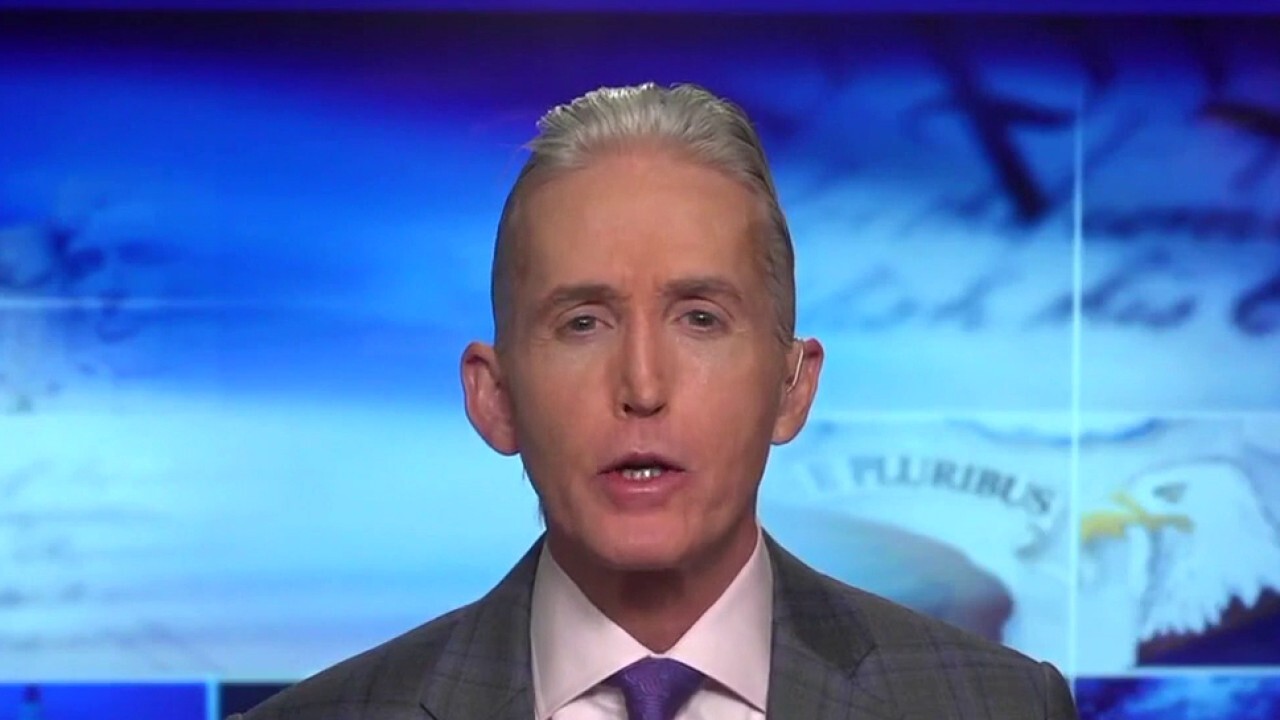 You're free to peacefully protest the law, but you're not free to disregard it: Gowdy
