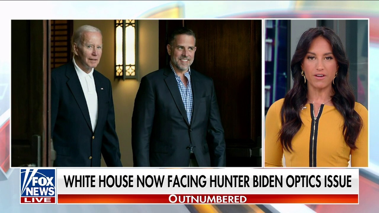 Hunter joins Joe Biden at Camp David following plea deal