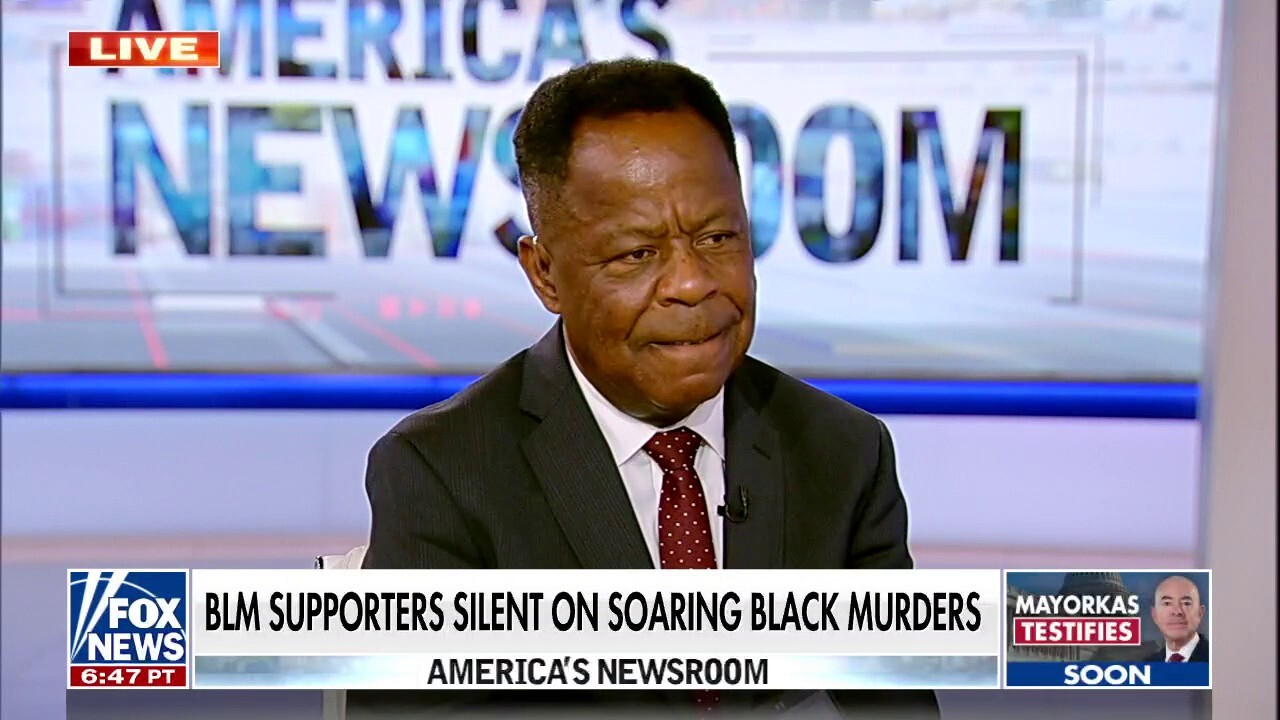 Leo Terrell: BLM has 'no other agenda' but to fundraise by playing the race card