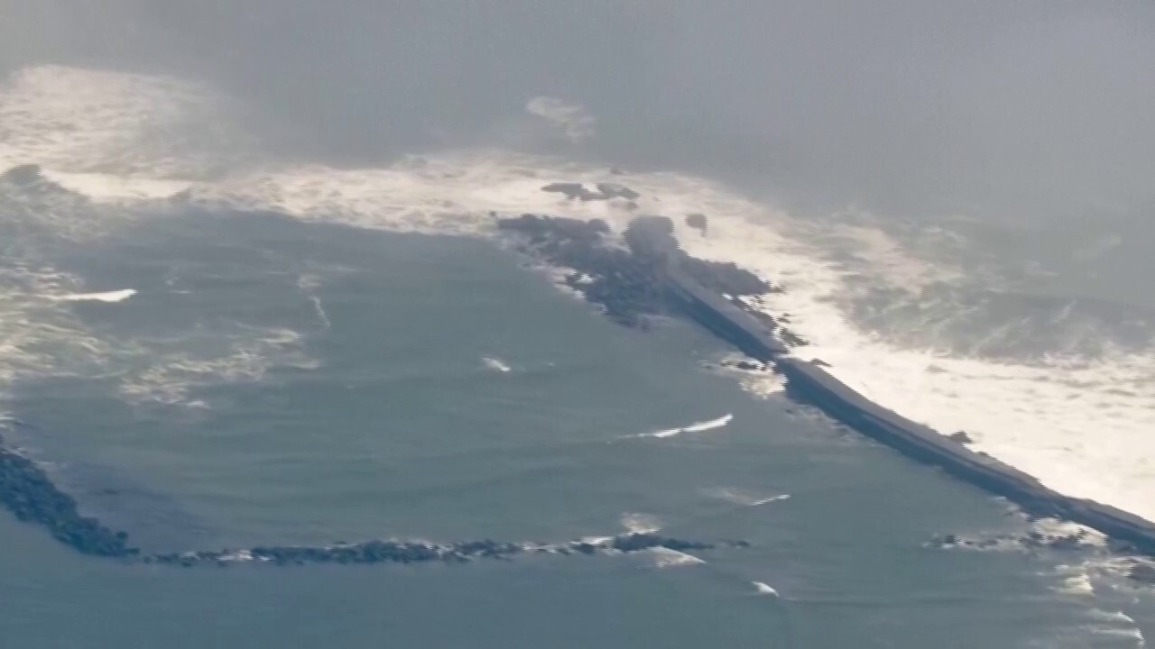 Tsunami live feed