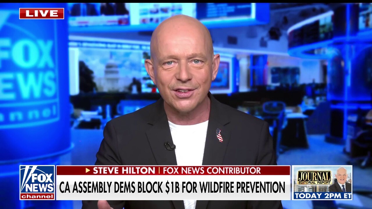 Karen Bass covering up total 'calamitous, clueless incompetence and dysfunction' in California: Steve Hilton