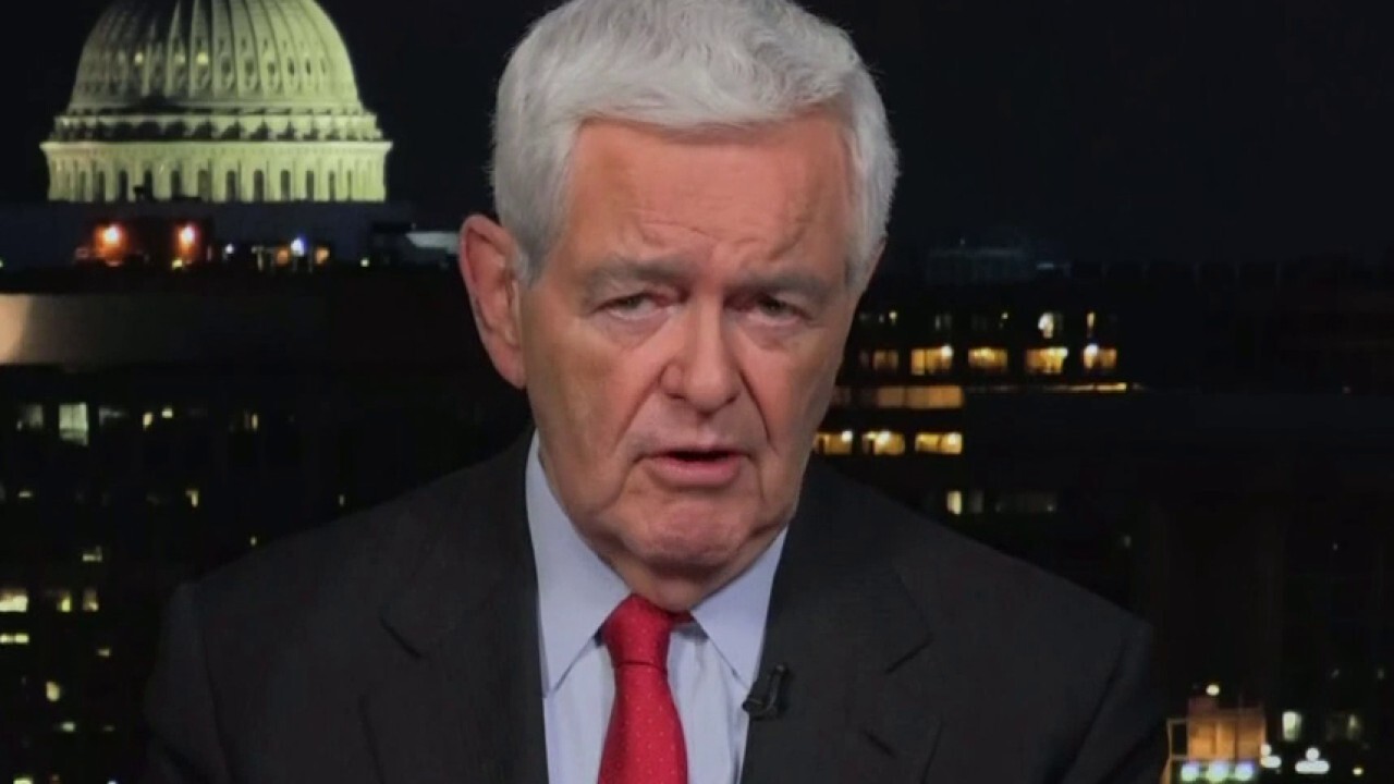 Newt Gingrich details lessons Republicans can learn from Democrats’ failures