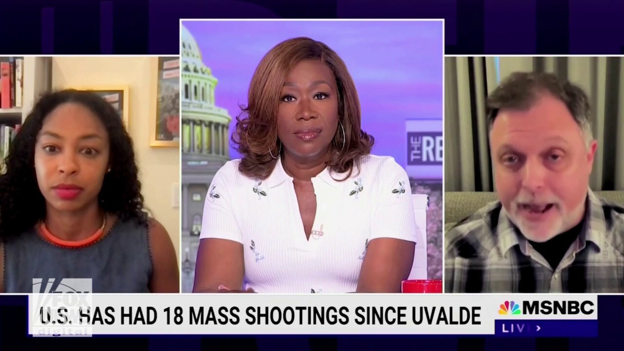 Racial activist on 'The ReidOut' says the Second Amendment was meant to quell slave rebellions
