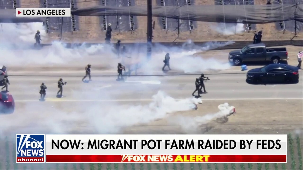 BREAKING: Migrant marijuana farm raided by feds