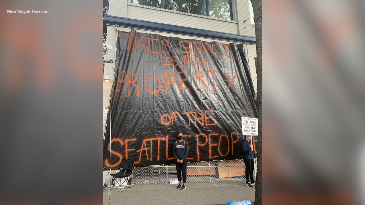 Seattle Black Lives protester: 'If we really want Black Lives Matter to take steam, we should really focus on police brutality'