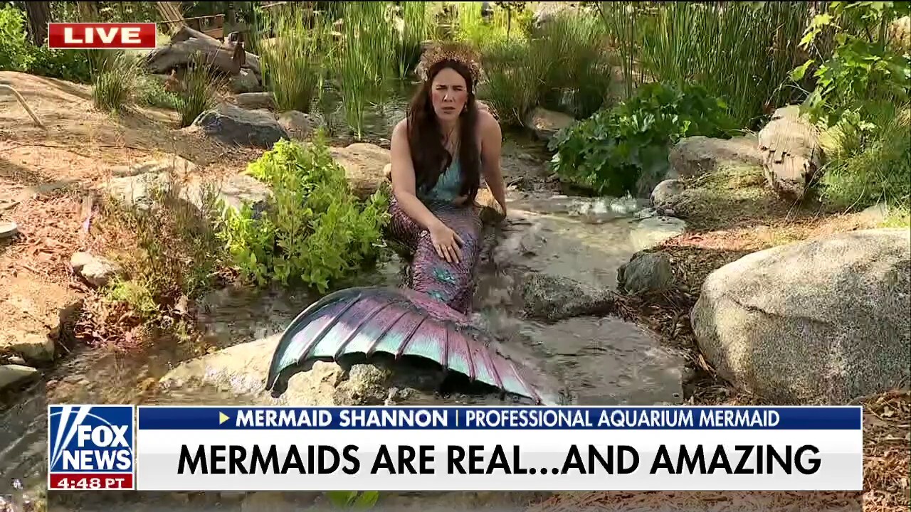 Mermaid Shannon makes a splash as professional aquarium mermaid