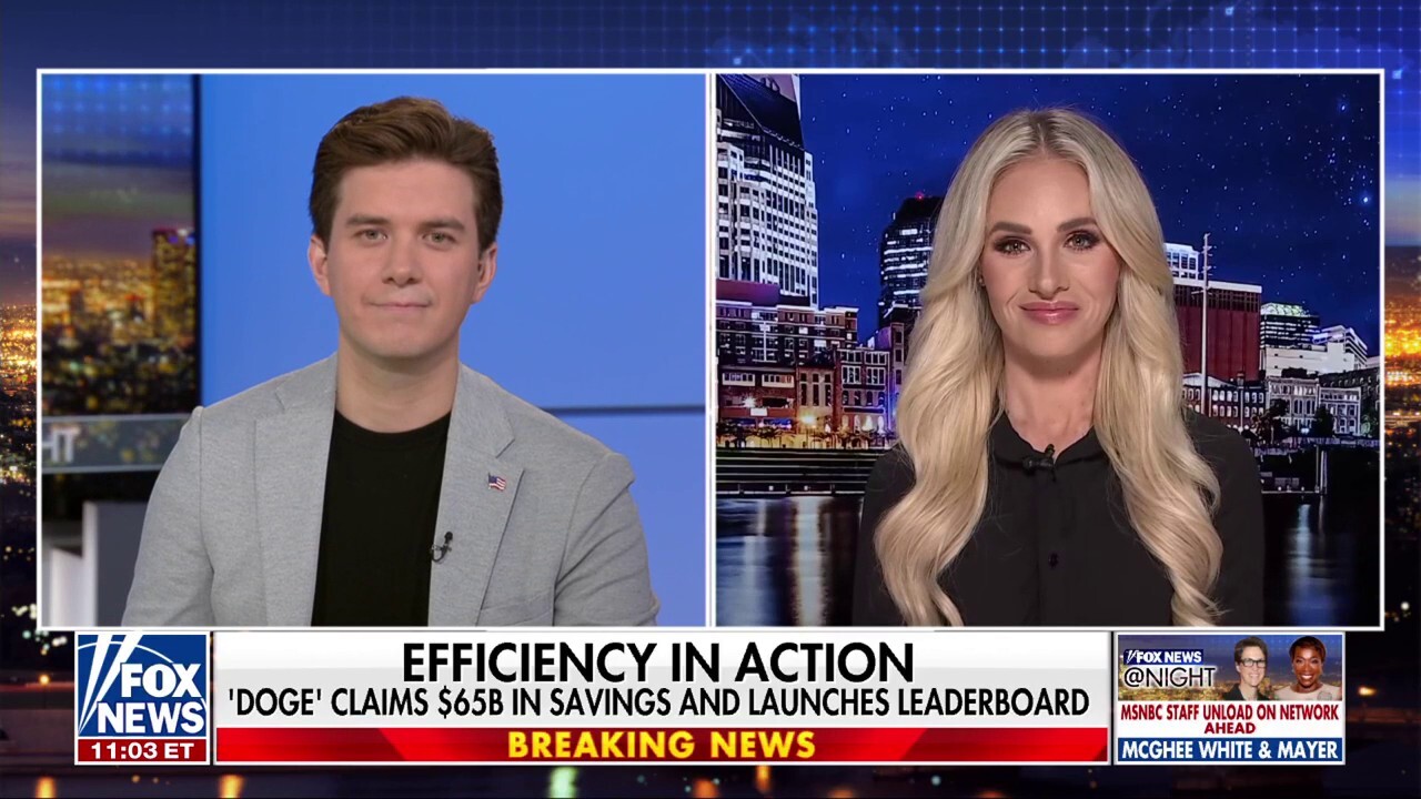 Dems don’t like the idea of a smaller government: Tomi Lahren