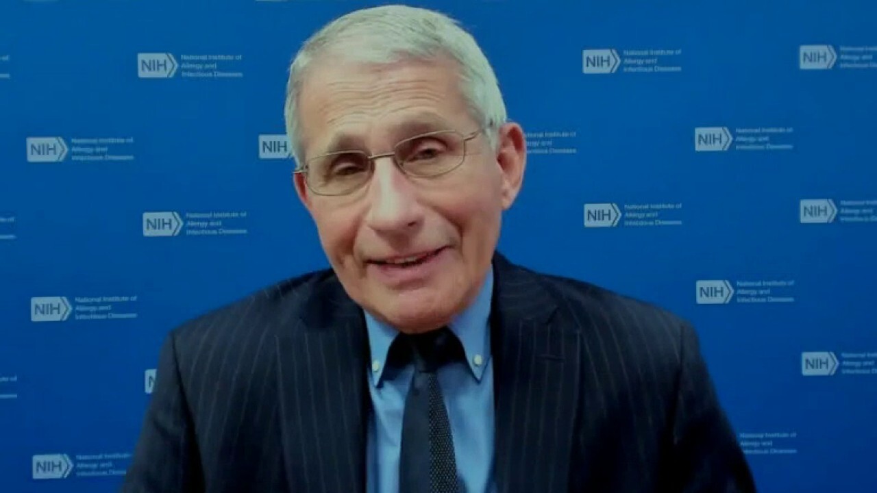 Fauci: By the end of the summer everyone can be vaccinated