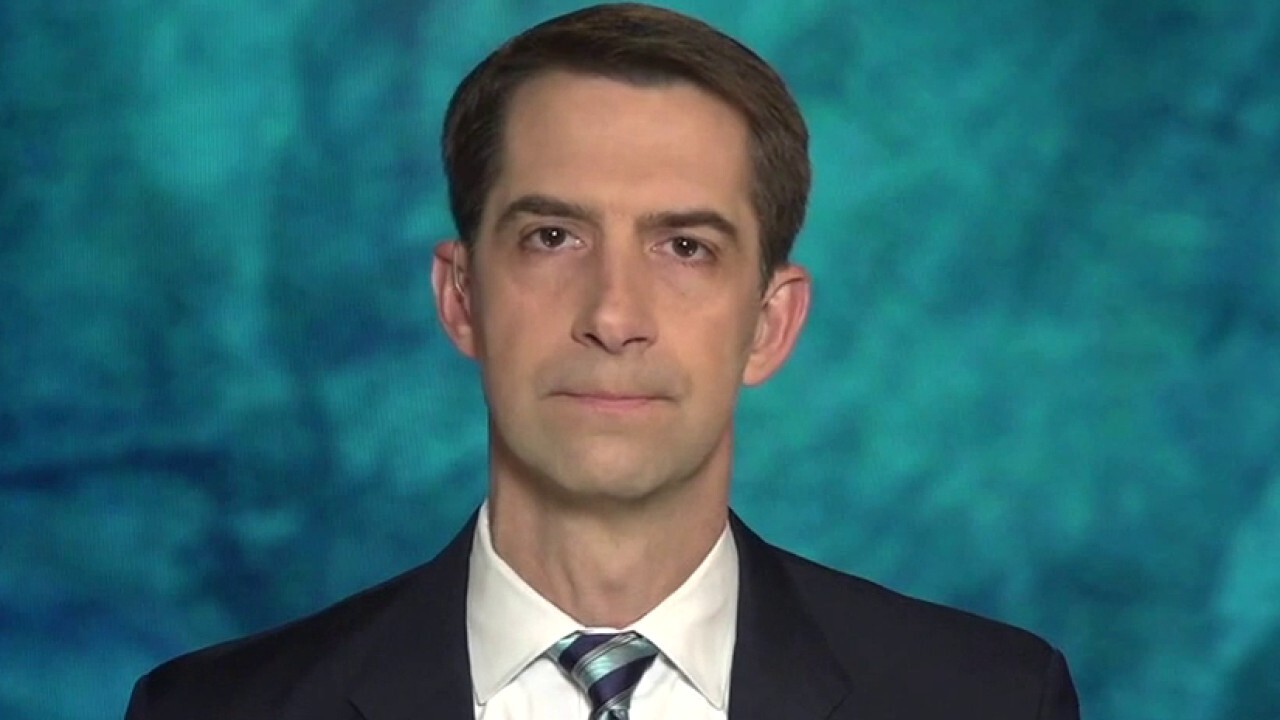 Cotton says Dems will do anything for power amid prosecution by Supreme Court
