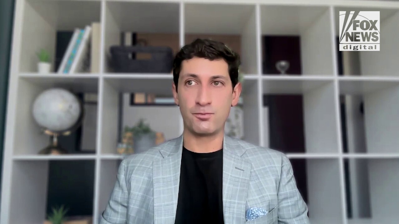 CEO reveals how to spot paid protesters amid violent anti-ICE riots