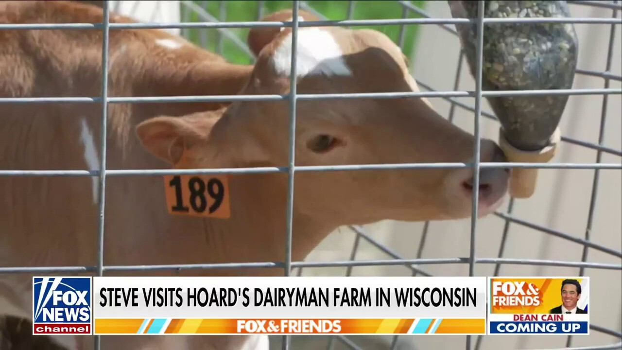 'Fox & Friends' co-host Steve Doocy learns about the Wisconsin dairy industry and observes dairy production at the Hoard's Dairyman Farm