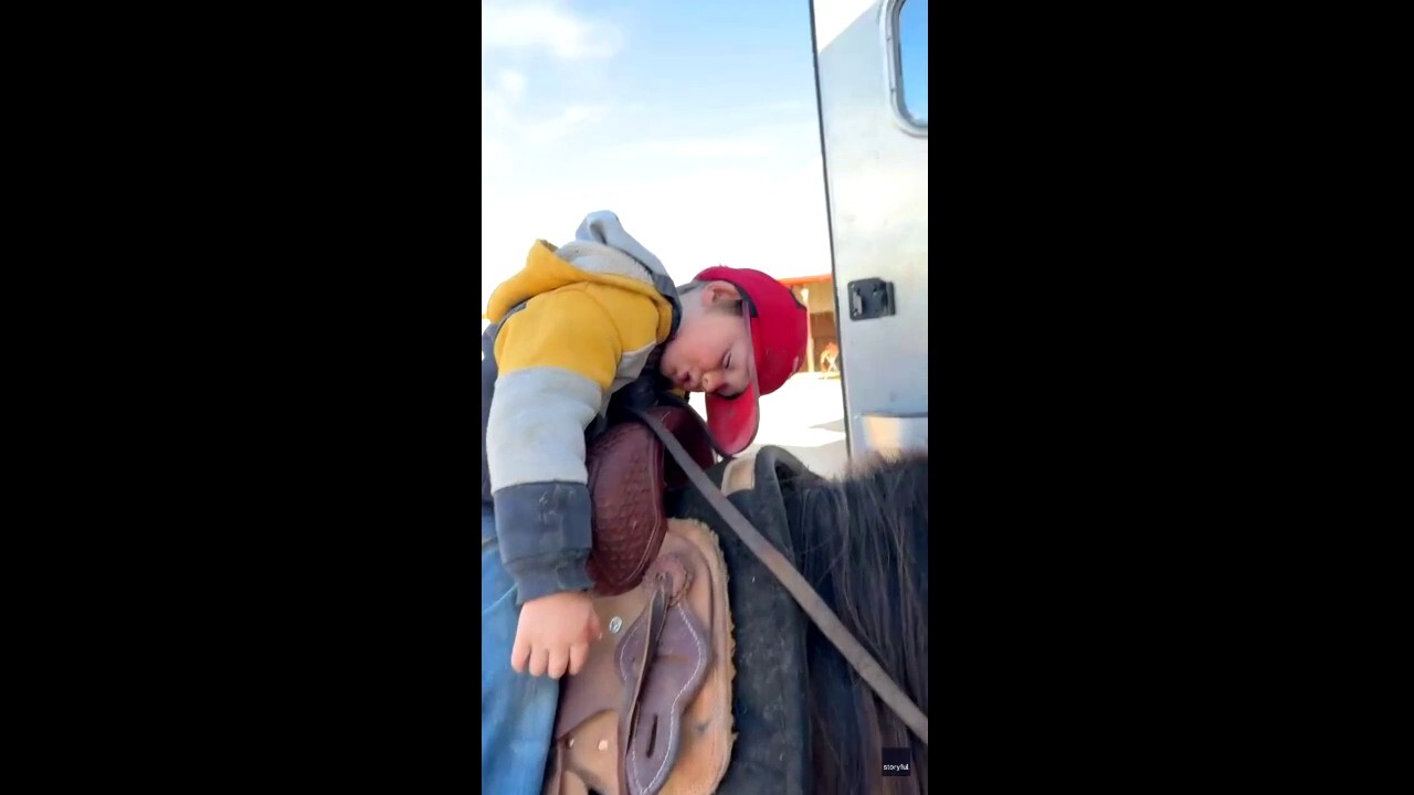 Little boy in Texas takes nap on the back of his pony