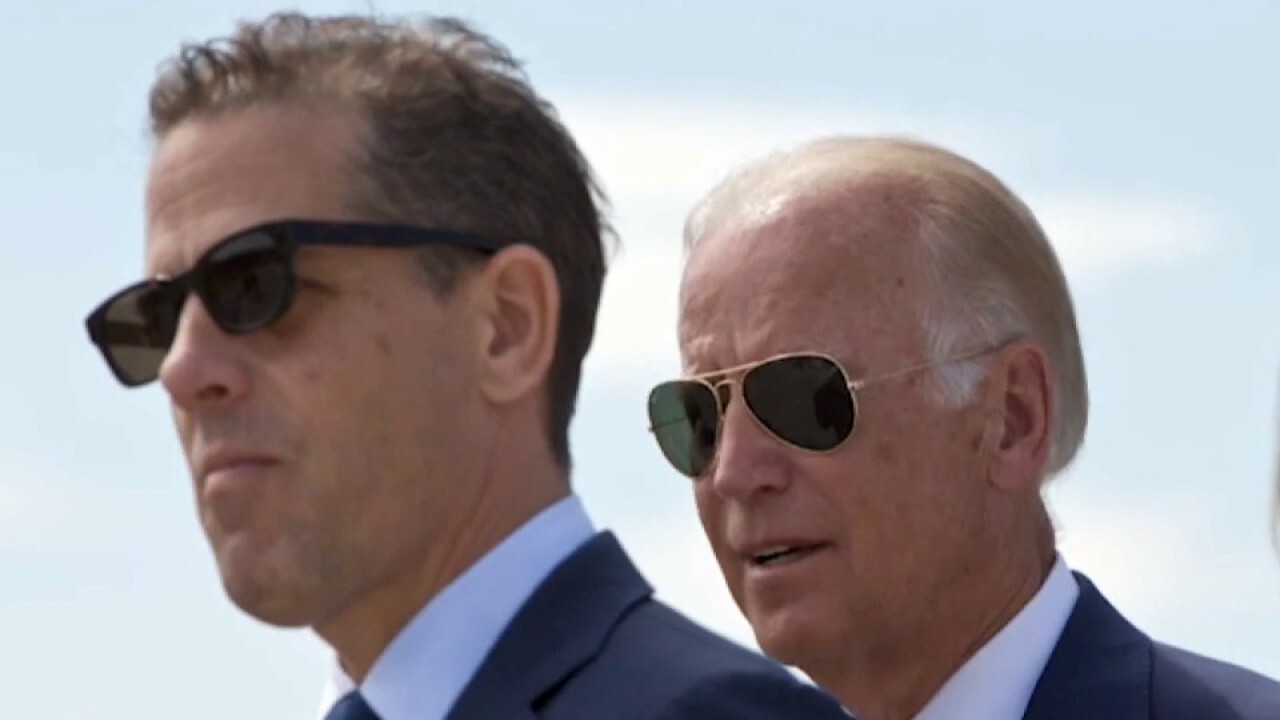 Hunter Biden corruption allegations turning off Hispanic voters, warns Daniel Garza