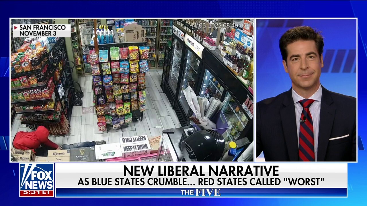 Watters: Media wants you to think red states are 'terrible' 