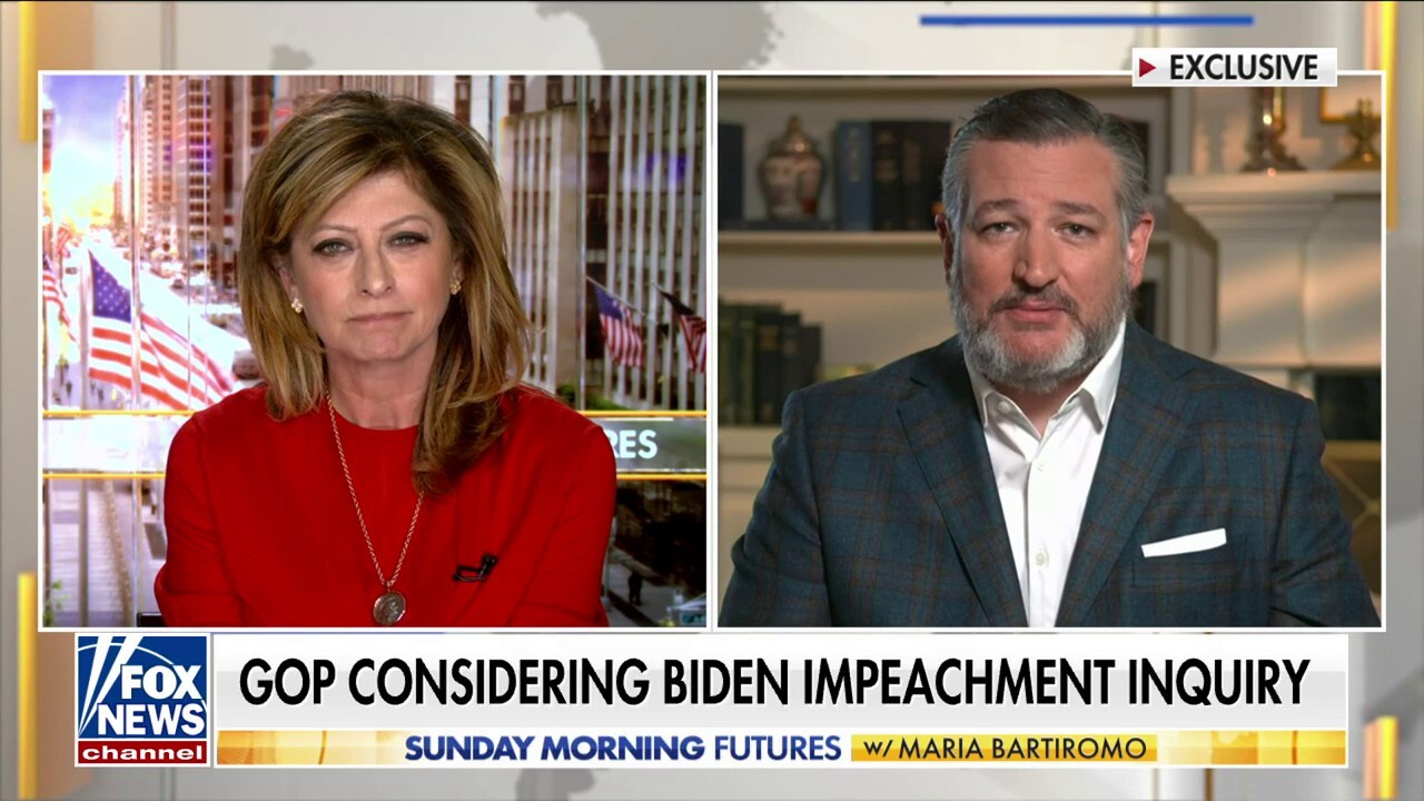 Ted Cruz counters McConnell's warning that impeachment is 'not good for' country: 'Qualitatively different'