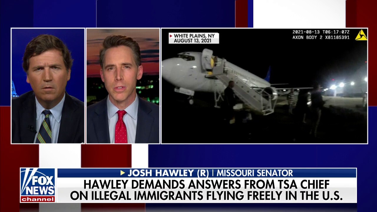 'Unbelievable' illegal immigrants can fly freely in the US: Sen Hawley