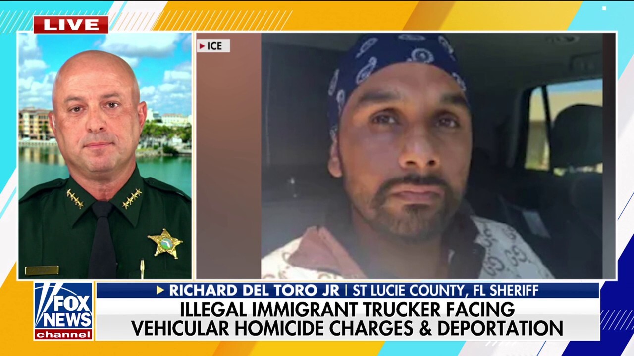 Illegal immigrant truck driver 'could be facing life in prison,' Florida sheriff says