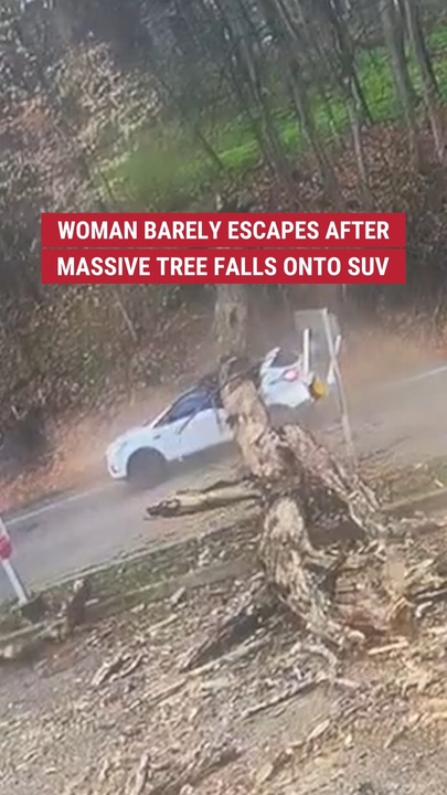 Woman hardly  escapes aft  monolithic  histrion   falls onto SUV