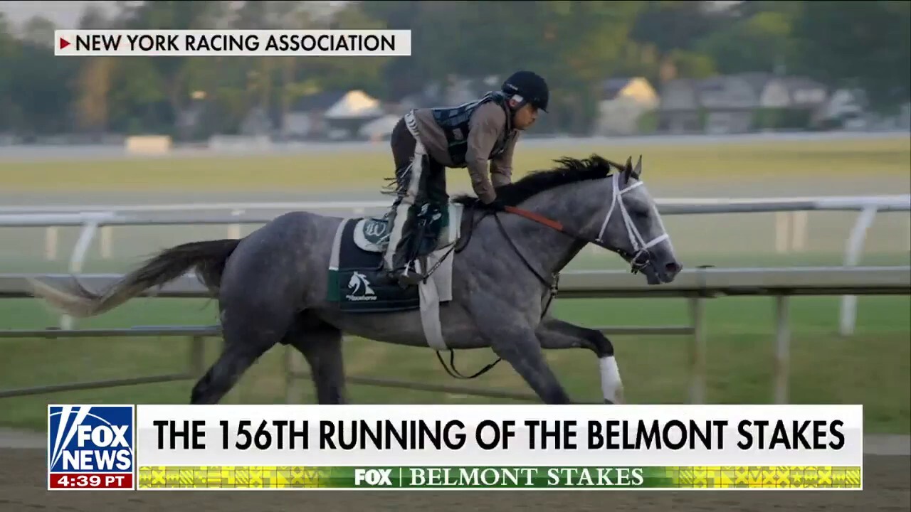 Preakness winner Seize The Grey going for Belmont Stakes victory 