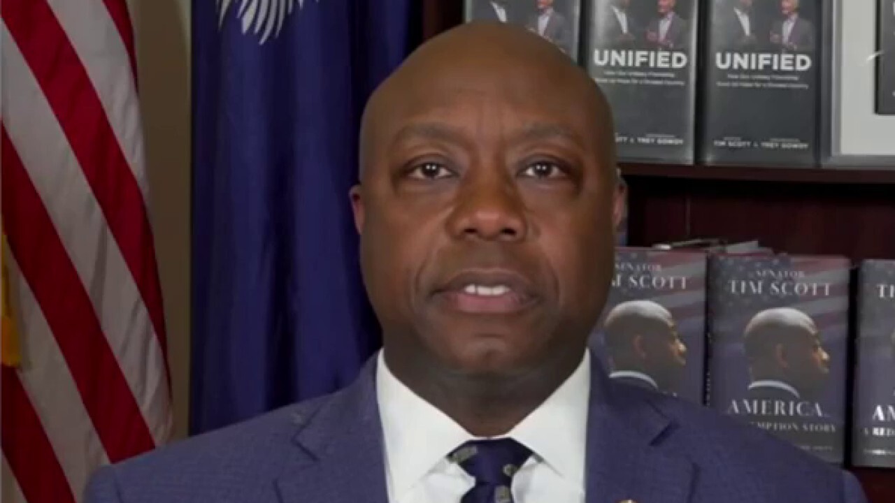 'It's so disgusting to see this two-tiered justice system play out': Sen. Tim Scott