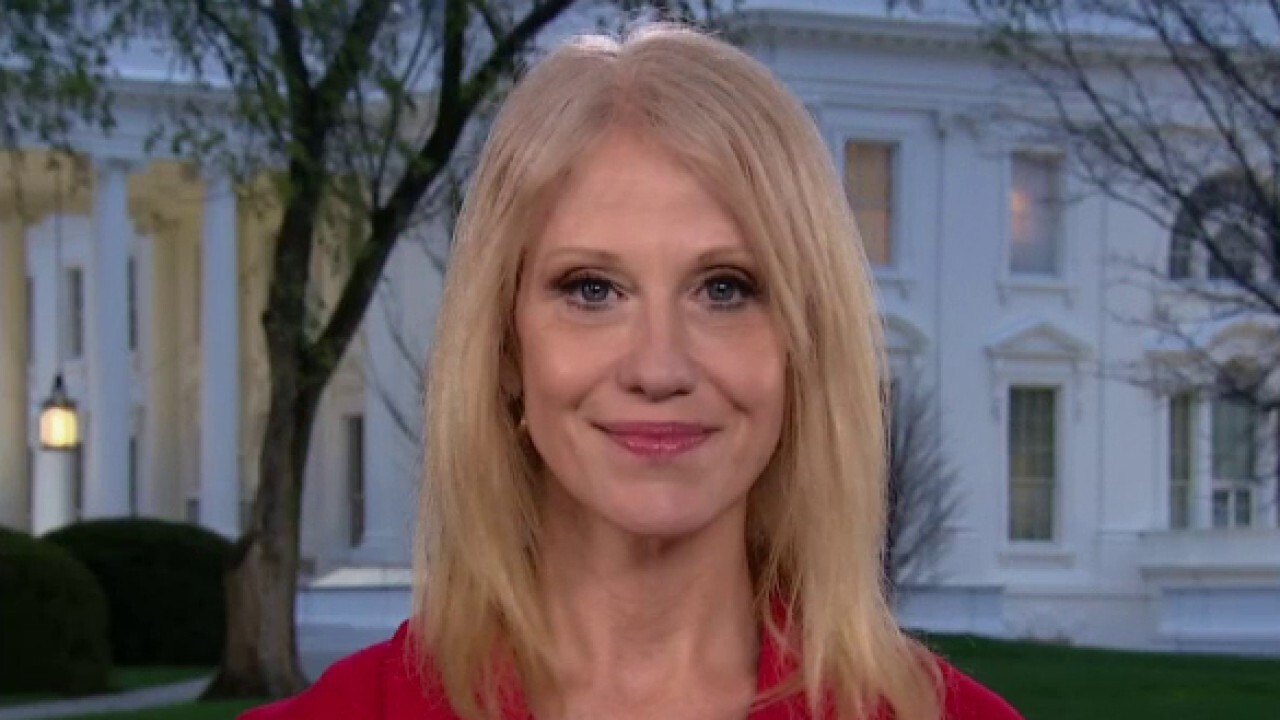 Kellyanne Conway on stimulus negotiations between Senate and White House