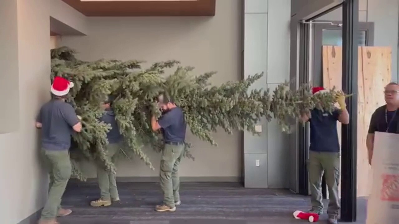 Депутатите от Колорадо разпръснаха коледно настроение, като притиснаха гигантско дърво във фоайето на отдела