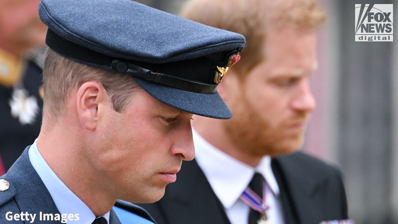 Prince William 'struggled' with Prince Harry's exit, author claims: 'A lot of anger and hurt on both sides'